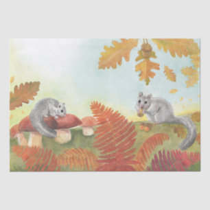 Papel De Seda Glis Glis - Dormouse europeu
