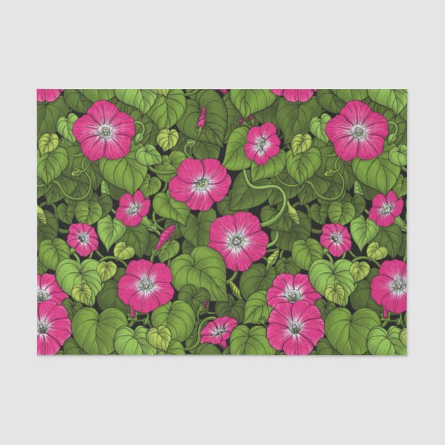 Papel De Seda Glória da manhã em rosa e verde (Frente )