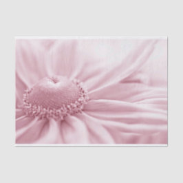 Papel De Seda Gloriosa Daisy Macro