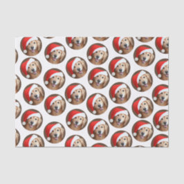 Papel De Seda Golden retriever com o chapéu vermelho do papai