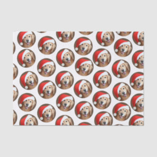 Papel De Seda Golden retriever com o chapéu vermelho do papai