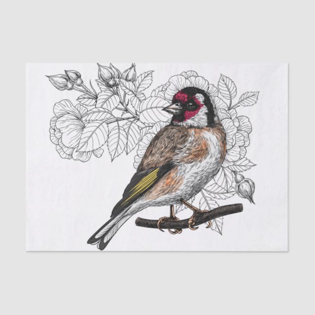 Papel De Seda Goldfinch e rosas (Frente )