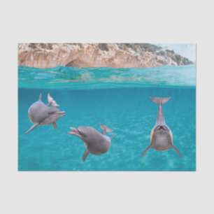 Papel De Seda Golfinho do Oceano Fofo Amante da Vida Marinha Oce