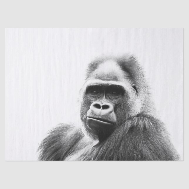 Papel De Seda Gorila (Frente )