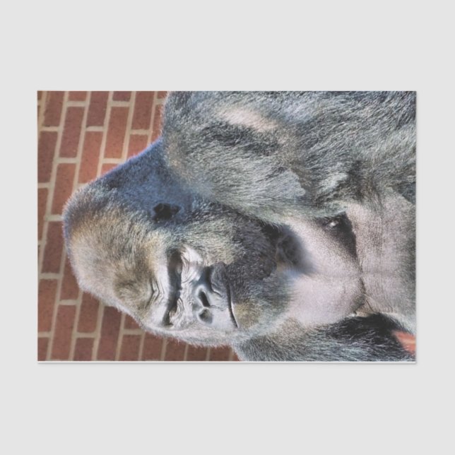 PAPEL DE SEDA GORILLA (Frente )