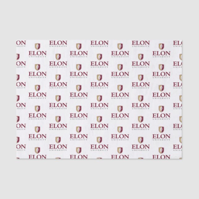Papel De Seda Graduação na Universidade Elon (Frente )