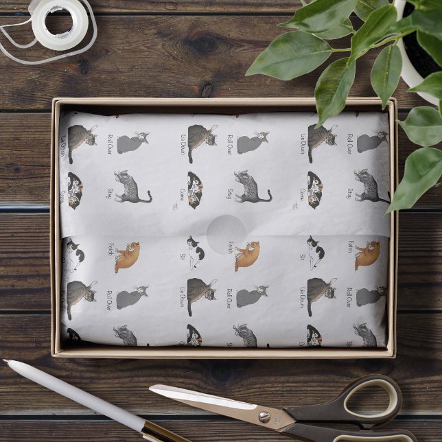 Papel De Seda Gráfico de Treinamento de Comandos de Gato Diverti (Criador carregado)