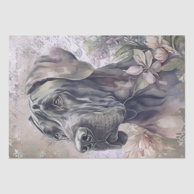 Papel De Seda Grande Dane Floral Cão (Frente )