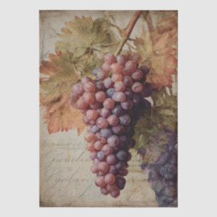 Papel De Seda Gravura Antiga de Uvas de Vinha