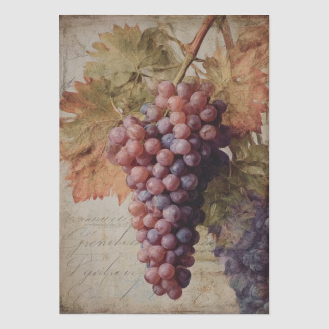 Papel De Seda Gravura Antiga de Uvas de Vinha (Frente )
