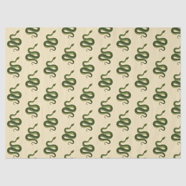 Papel De Seda Green Snake (Frente )