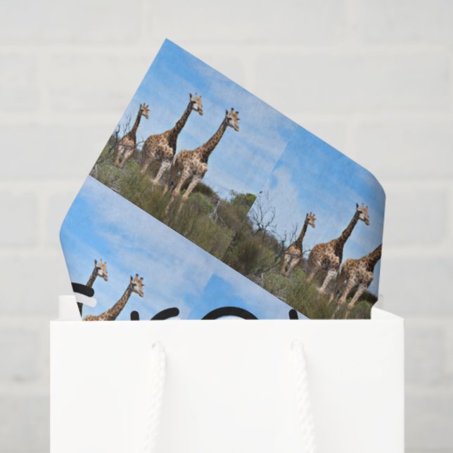 Papel De Seda Growing Tall Safari Harmony (Sacola de presentes)
