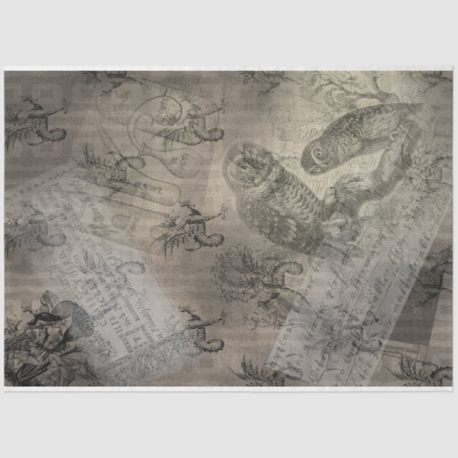 Papel De Seda Halloween Owl Family Vintage Ephemera (Frente )