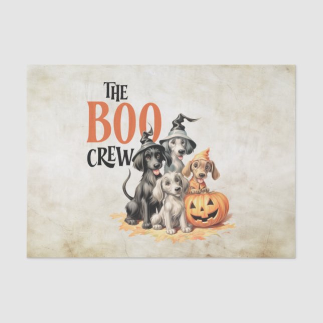 Papel De Seda Halloween Scary Boo Cães Tripulantes Laranja Pumpk (Frente )