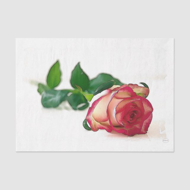 Papel De Seda HAMbyWG - Rosa de Solteiro (Frente )