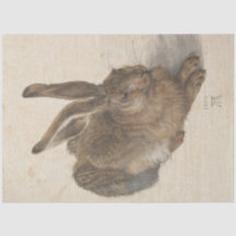 Hare (por Albrecht Dürer)