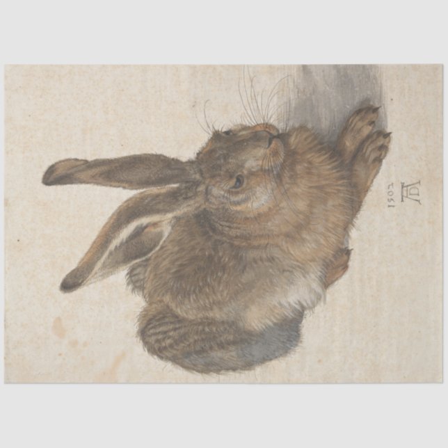 Papel De Seda Hare (por Albrecht Dürer) (Frente )