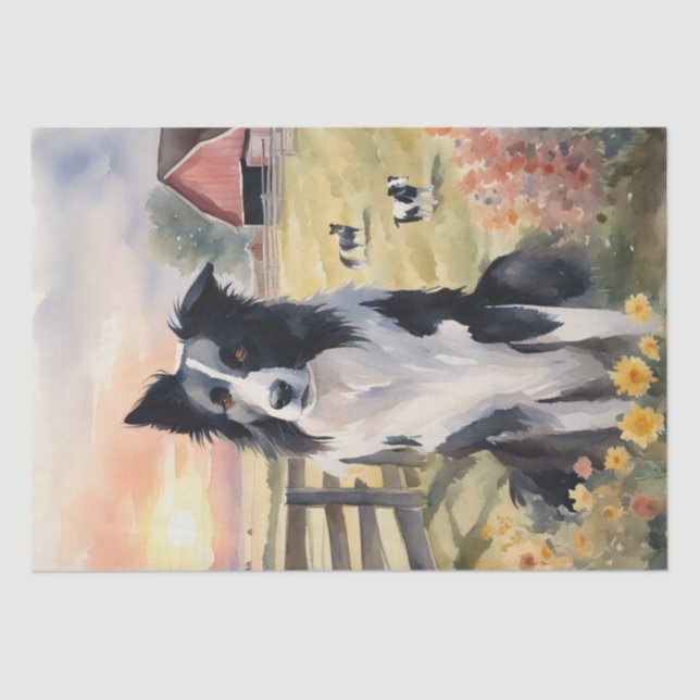 Papel De Seda Harmonia de Crepúsculo: Desacoplamento de Collie d (Frente )