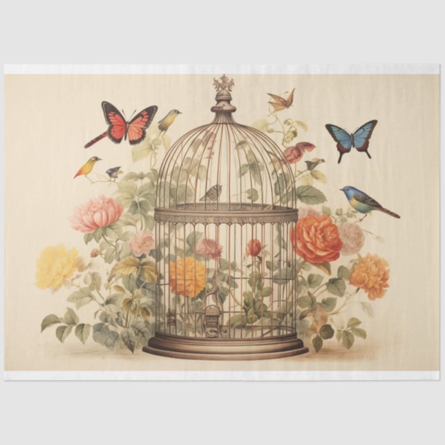 Papel De Seda Harmonia Elegante: Desnuvem de Birdcage (Frente )
