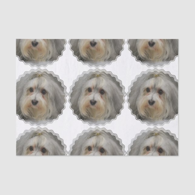 Papel De Seda Havanese (Frente )