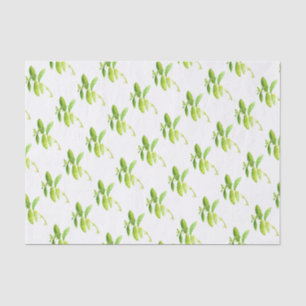 Papel De Seda Herbo de menta Watercolor Greenery Mãe Padrão