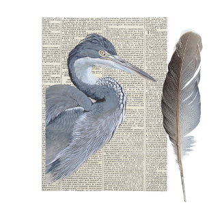 Papel De Seda Heron Bird French Newpaper Decoupage