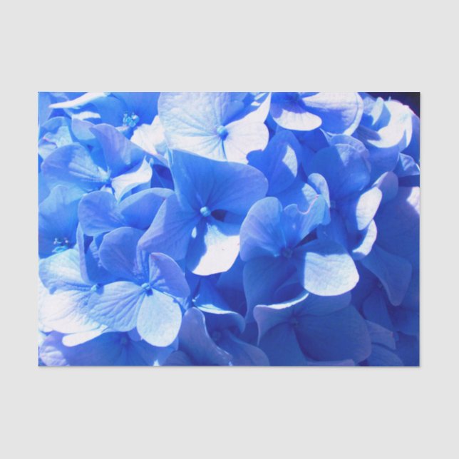 Papel De Seda Hídrangas azuis-florais elegantes-de-cobalto (Frente )