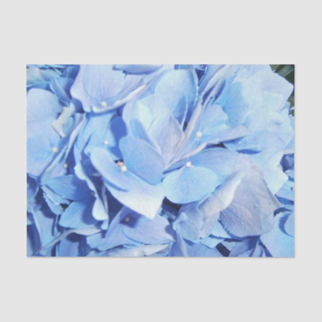 Papel De Seda Hidrangea Azul Claro (Frente )