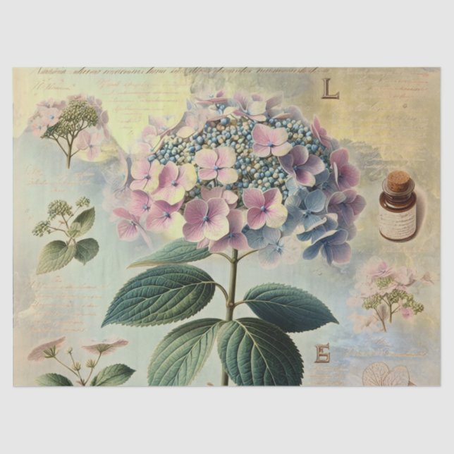 Papel De Seda Hidrangia (Frente )