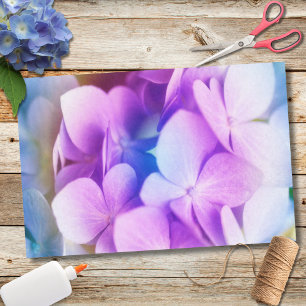 Papel De Seda Hídricas roxas coloridas