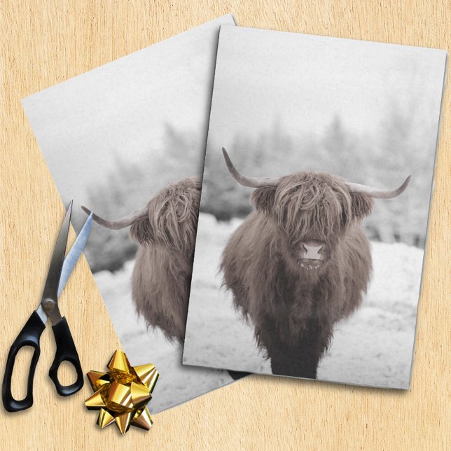 Papel De Seda Highland Cow Scotland Russ Tissue Paper (Criador carregado)