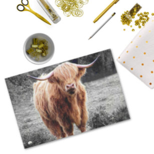 Papel De Seda Highland Cow Scotland Rustic