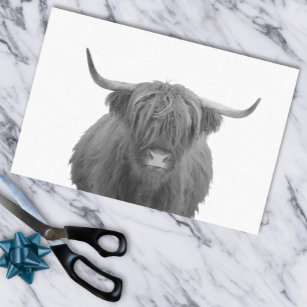 Papel De Seda Highland Cow Scotland Rustic Black White