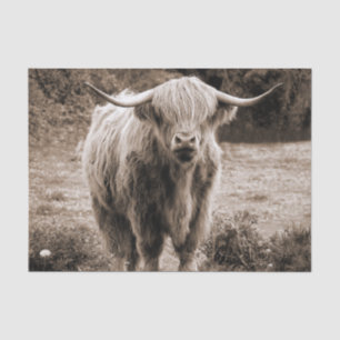 Papel De Seda Highland Cow Scotland Rustic Brown monotone