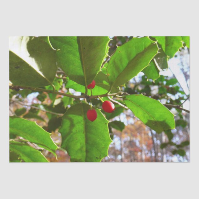 Papel De Seda Holly Sai do Feriado II Botânico (Frente )