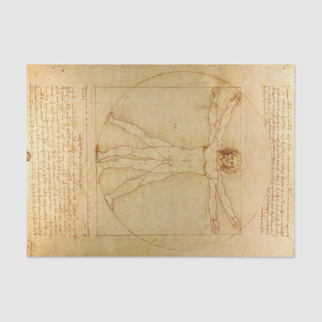 Papel De Seda Homem Vitruviano por Leonardo Da Vinci (Frente )