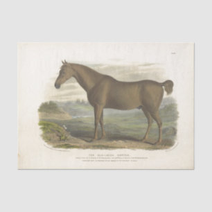 Papel De Seda Horse Ephemera Decoupage Vintage Caçador Irlandê