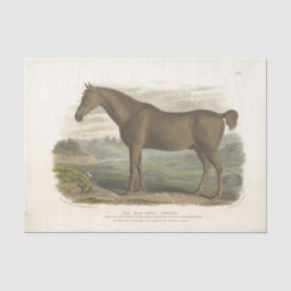 Papel De Seda Horse Ephemera Decoupage Vintage Caçador Irlandês