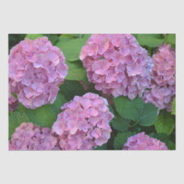 Papel De Seda Hortensia hydrangea bush rosa