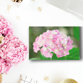 Papel De Seda Hortênsia Rosa no Verão