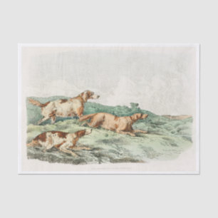 Papel De Seda Hounds from Sporting Sketches (1817-1818) apresent