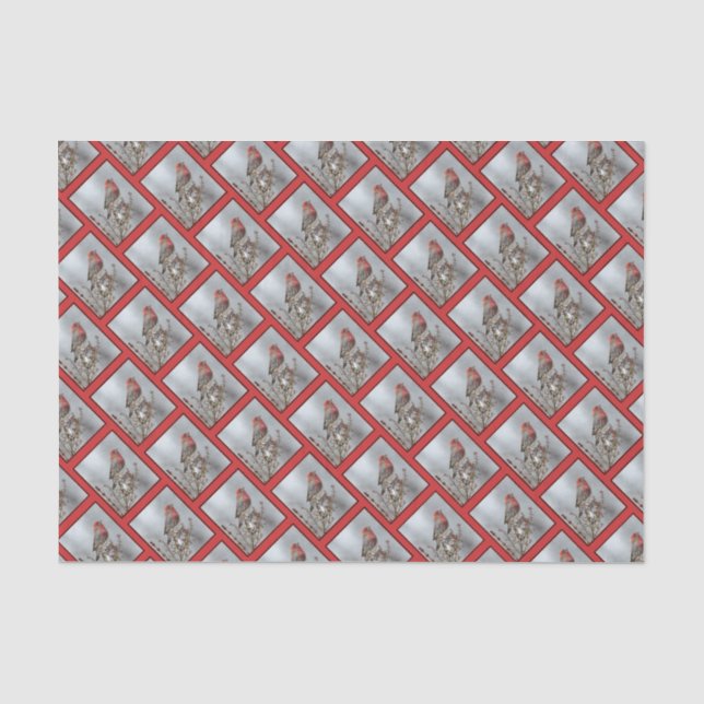 Papel De Seda House Finch in Snow - Foto original (Frente )