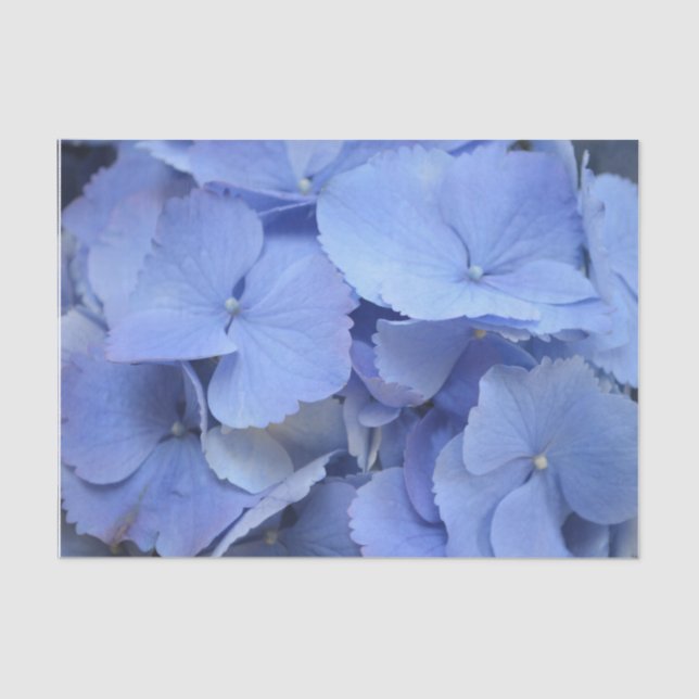 Papel De Seda Hydrangea azul bonito (Frente )
