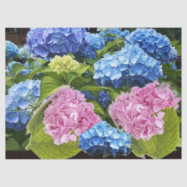 Papel De Seda Hydrangea Floral Rosa Azul Arte de Decoupagem (Frente )
