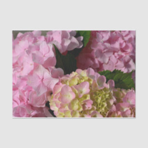 Papel De Seda Hydrangeas Rosa e Creme