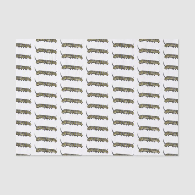 Papel De Seda Ilustração da cartoon da lagarta monarca (Frente )