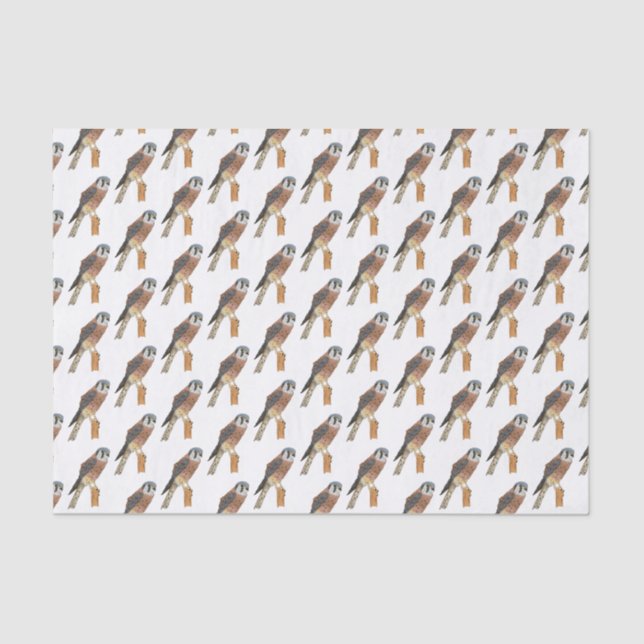 Papel De Seda Ilustração de ave do Kestrel Americano (Frente )