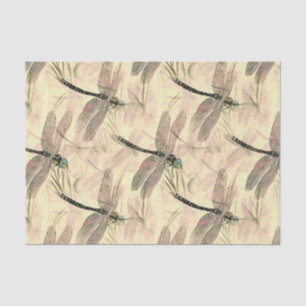 Papel De Seda Ilustração de cor de Dragonfly