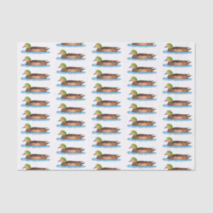 Papel De Seda Ilustração de desenho animado de ave-wigeon americ