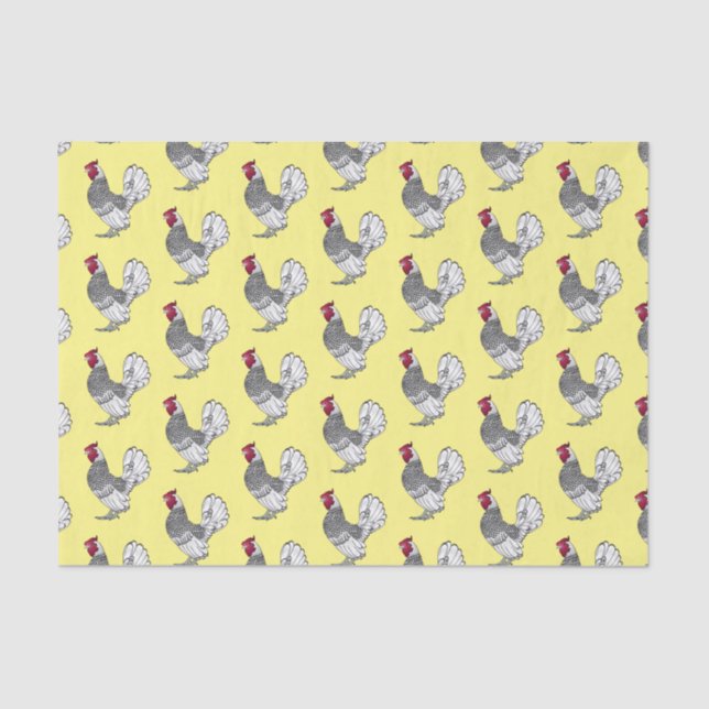 Papel De Seda Ilustração de desenho animado de frango Sebright (Frente )